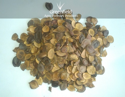 معرفی و راهنمای پرورش سبزی جات برگی - یاسمن شب گل